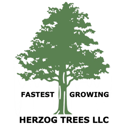 herzogtrees.com